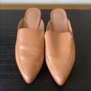 Halogen slides size 8.5